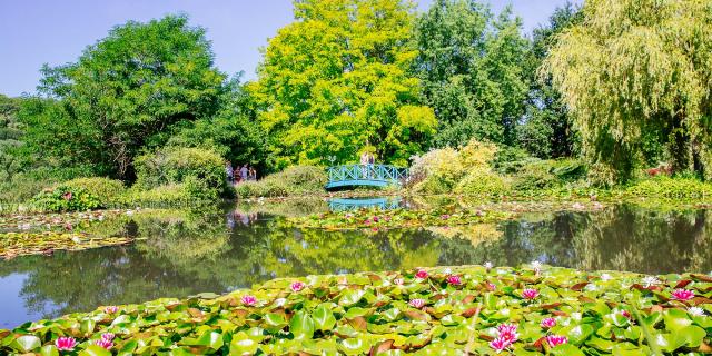 Les Jardins d'Eau à Carsac Aillac en Dordogne Périgord