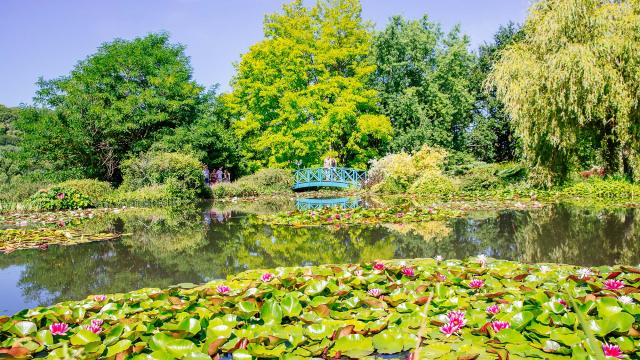 Les Jardins d'Eau à Carsac Aillac en Dordogne Périgord