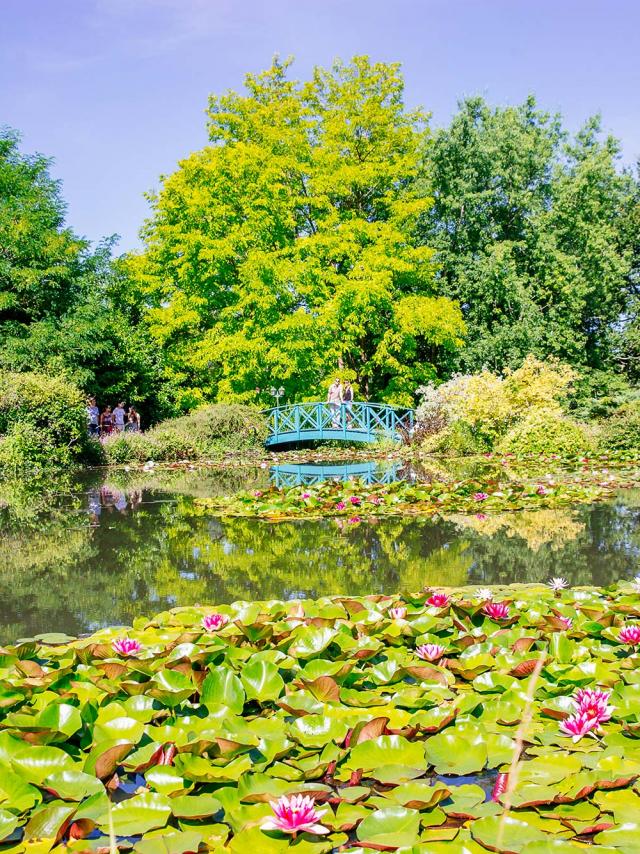 Les Jardins d'Eau à Carsac Aillac en Dordogne Périgord