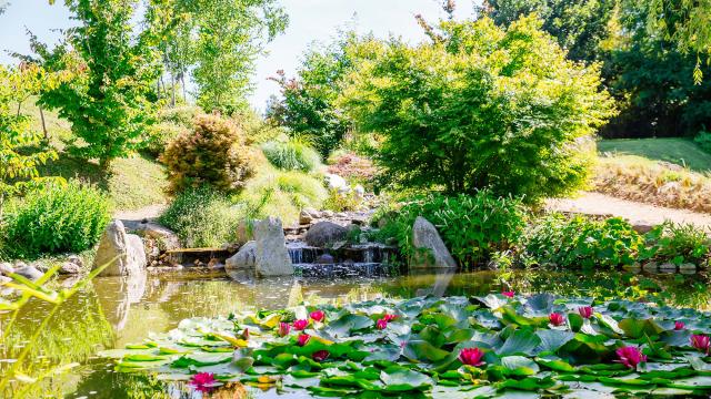 Les Jardins d'Eau à Carsac Aillac en Dordogne Périgord