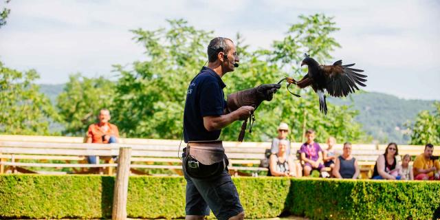 Spectacle de rapaces au Château des Milandes à Castelnaud en Dordogne Périgord