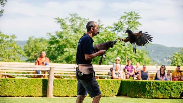 Spectacle de rapaces au Château des Milandes à Castelnaud en Dordogne Périgord