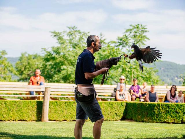 Spectacle de rapaces au Château des Milandes à Castelnaud en Dordogne Périgord