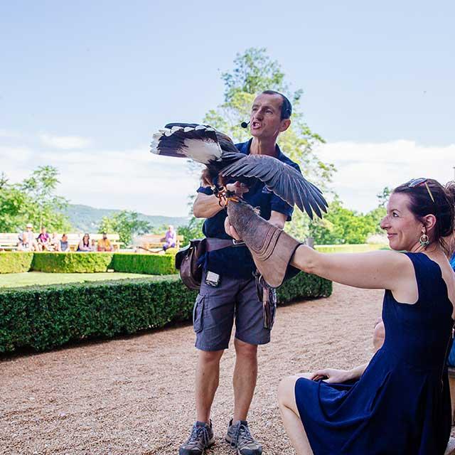 Spectacle de rapaces au Château des Milandes à Castelnaud en Dordogne Périgord