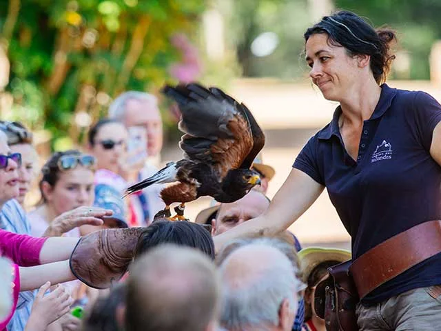 Spectacle de rapaces au Château des Milandes à Castelnaud en Dordogne Périgord