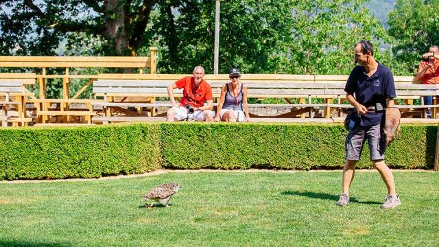 Spectacle de rapaces au Château des Milandes à Castelnaud en Dordogne Périgord