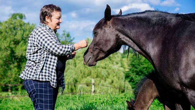 Les Deux Abbesses en Vert à Mareuil en Dordogne Périgord