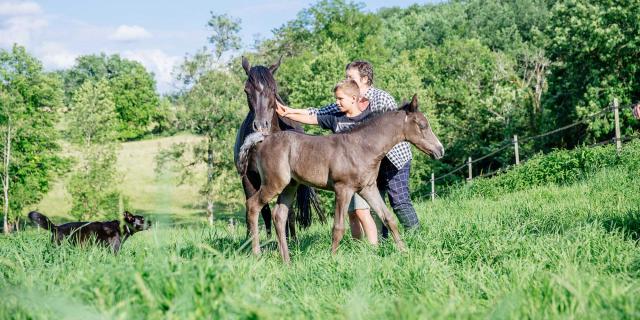 Les Deux Abbesses en Vert à Mareuil en Dordogne Périgord