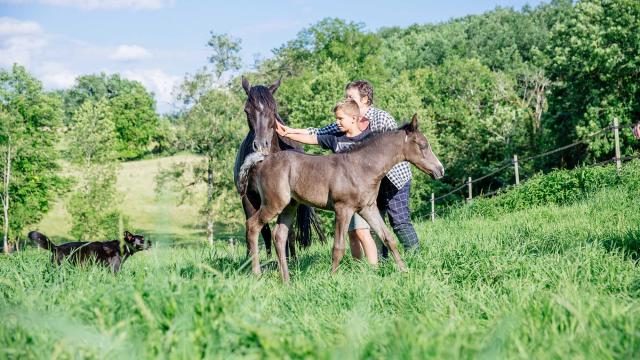 Les Deux Abbesses en Vert à Mareuil en Dordogne Périgord