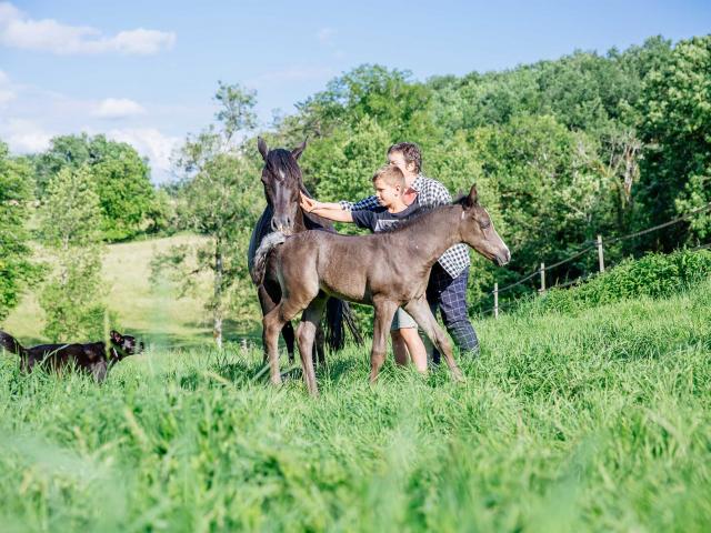 Les Deux Abbesses en Vert à Mareuil en Dordogne Périgord