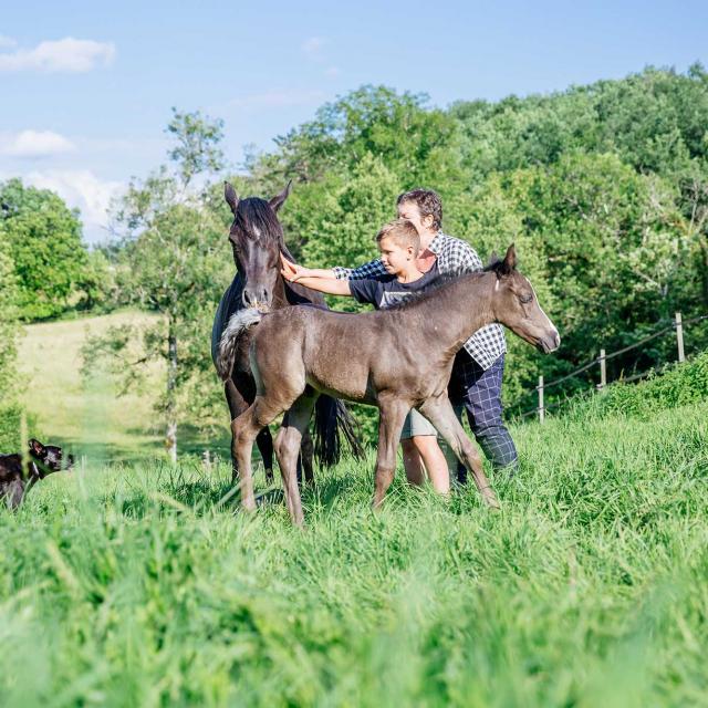 Les Deux Abbesses en Vert à Mareuil en Dordogne Périgord