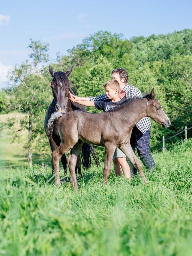 Les Deux Abbesses en Vert à Mareuil en Dordogne Périgord