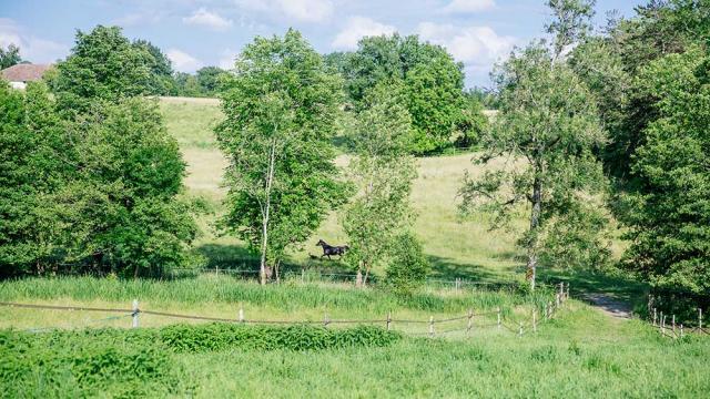 Les Deux Abbesses en Vert à Mareuil en Dordogne Périgord