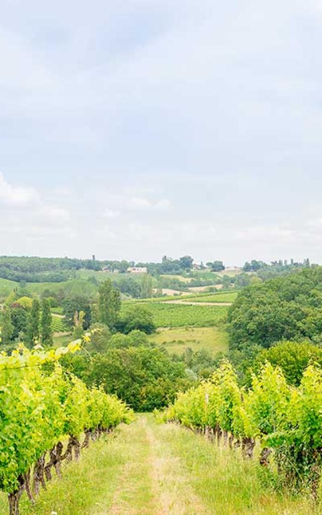 Château Feely à Saussignac en Dordogne Périgord