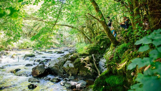 Randonnée dans les gorges de l'Auvézère en Dordogne Périgord