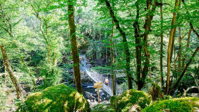 Randonnée dans les gorges de l'Auvézère en Dordogne Périgord