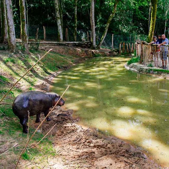 Réserve Zoologique de Calviac en Dordogne Périgord