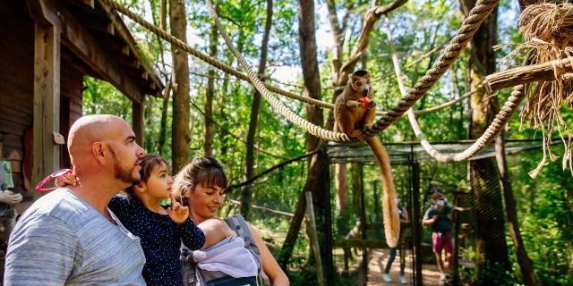 Réserve Zoologique de Calviac en Dordogne Périgord