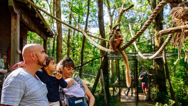 Réserve Zoologique de Calviac en Dordogne Périgord