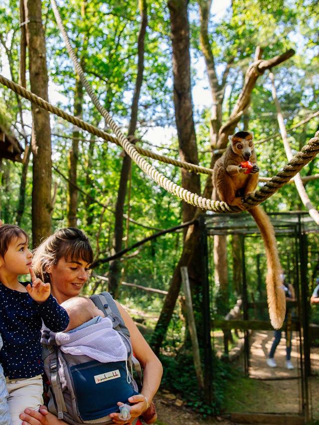 Réserve Zoologique de Calviac en Dordogne Périgord