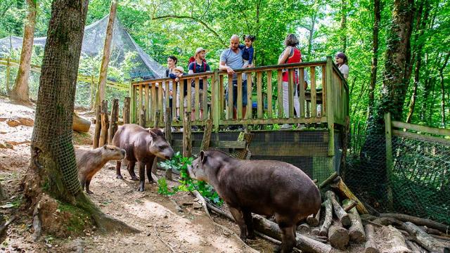 Réserve Zoologique de Calviac en Dordogne Périgord