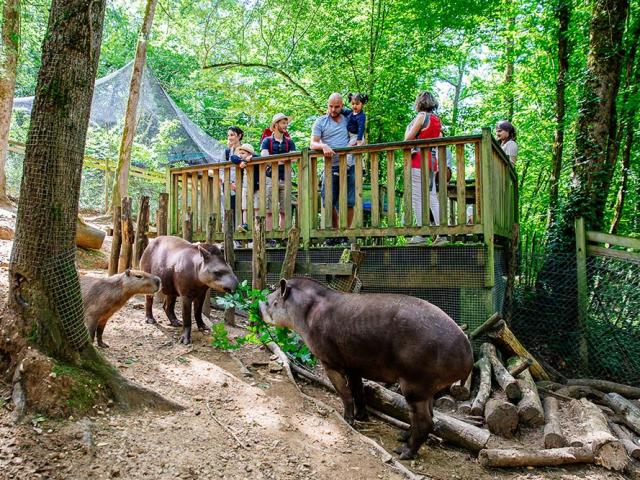 Réserve Zoologique de Calviac en Dordogne Périgord