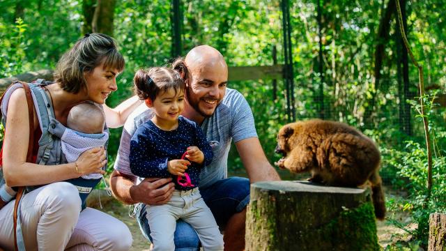 Réserve Zoologique de Calviac en Dordogne Périgord