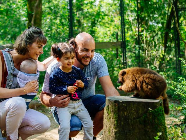 Réserve Zoologique de Calviac en Dordogne Périgord