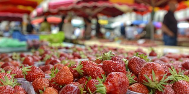 Fraises Du Périgord