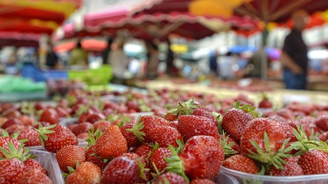 Fraises Du Périgord