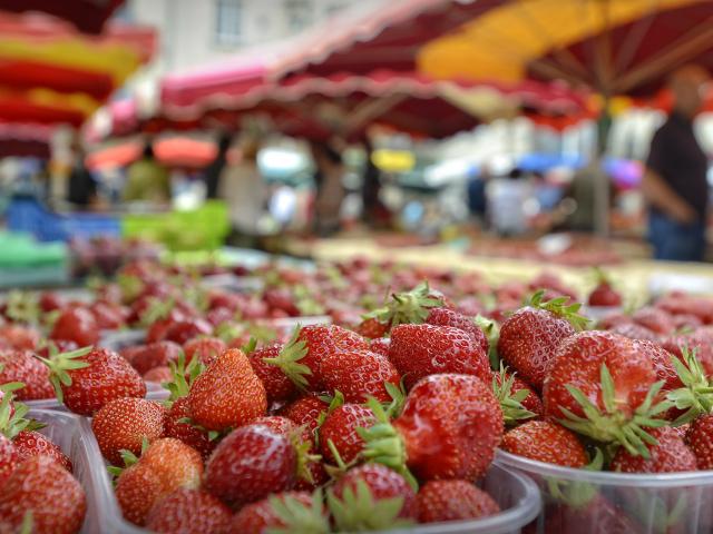 Fraises Du Périgord