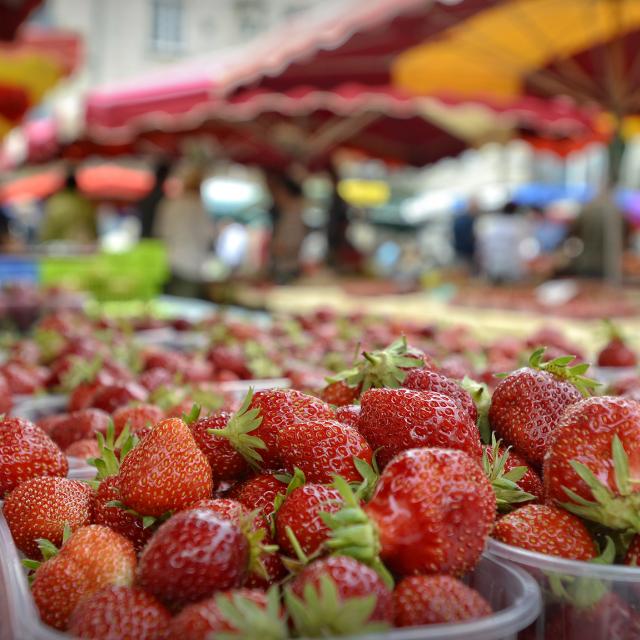 Fraises Du Périgord