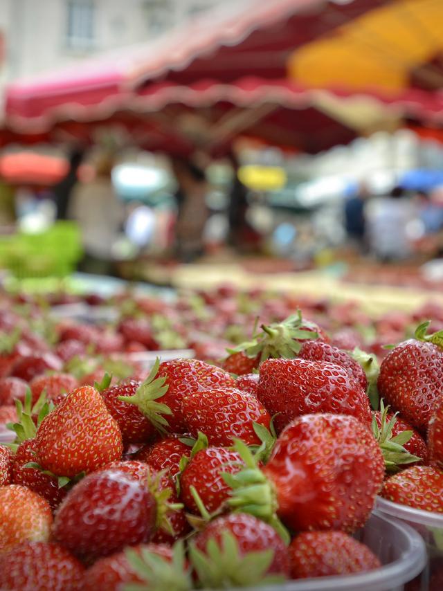 Fraises Du Périgord