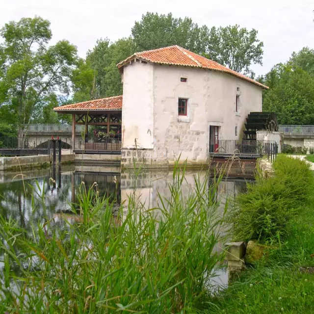 Maison De La Dronne à Montagrier