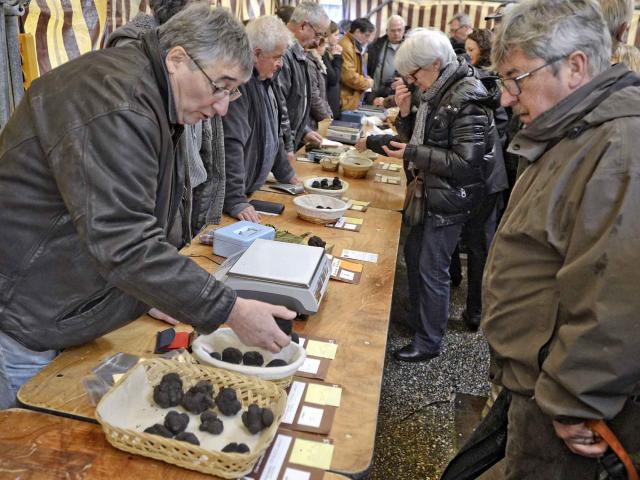 Marché aux Truffes