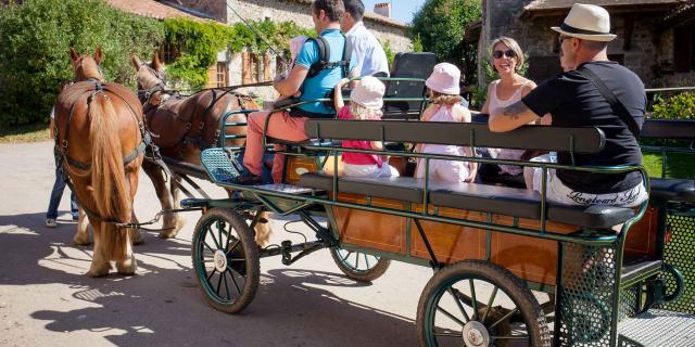 Promenade en calèche