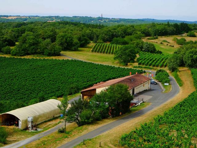 Cave du Vin de Domme