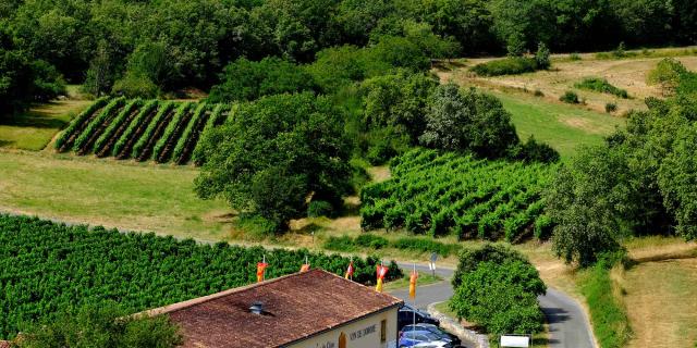 Cave du Vin de Domme