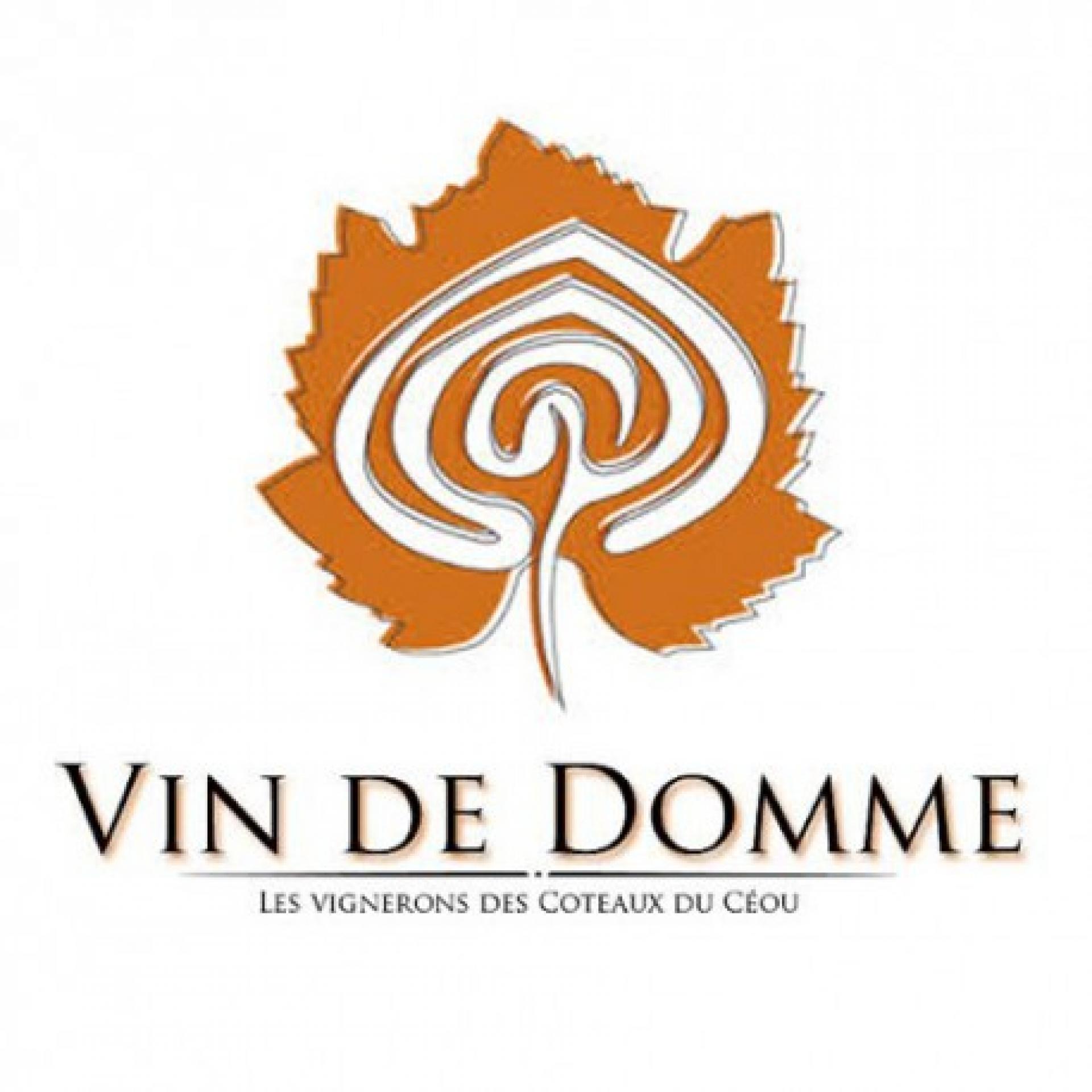 Logo Vins De Domme