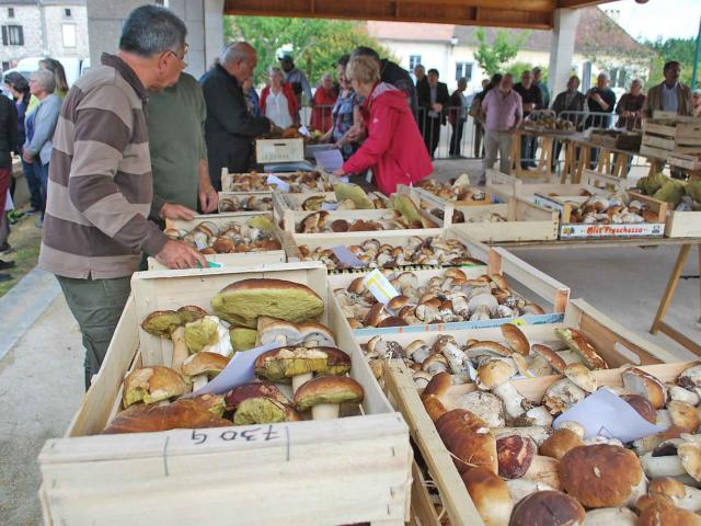 Marché aux cèpes