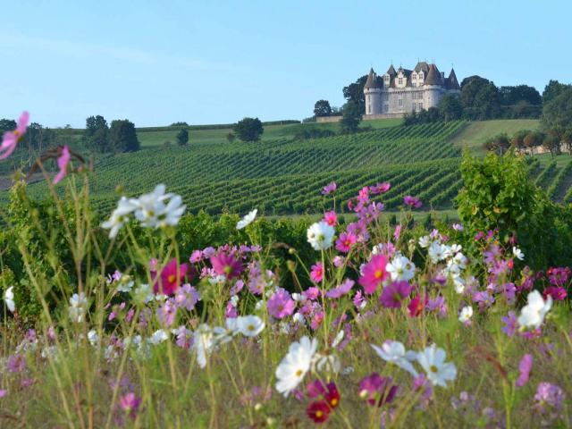 Vignoble et château de Monbazillaczillac