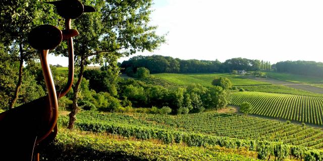 Vignoble de Bergerac