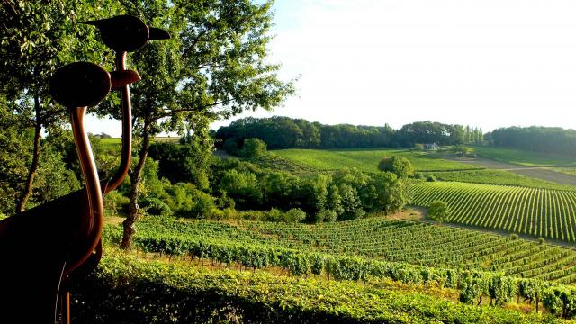 Vignoble de Bergerac