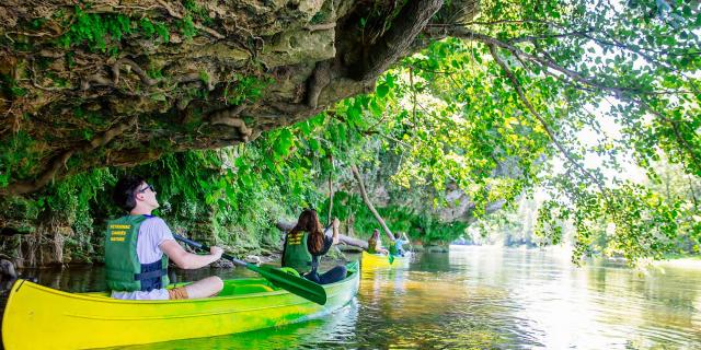 Canoë sur la Dordogne