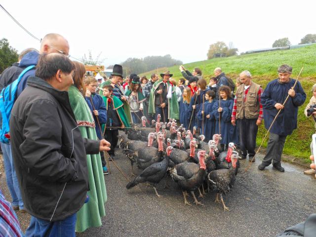 Foire aux Dindons à Varaignes