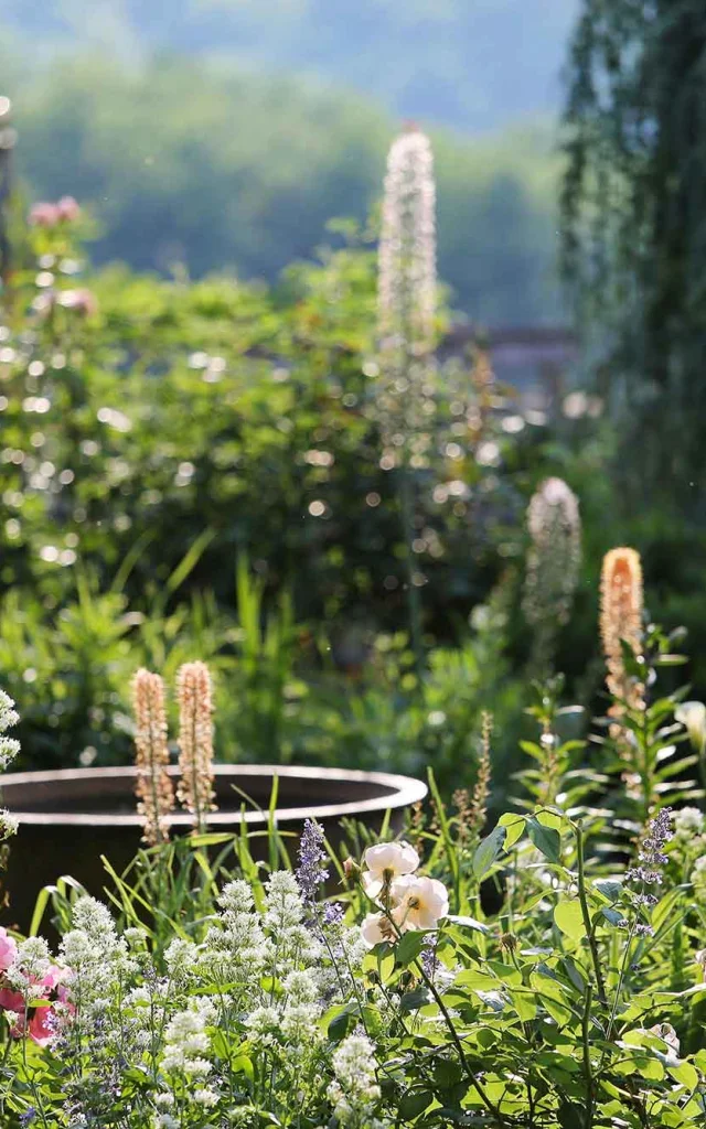 Jardins du Manoir d'Eyrignac à Salignac-Eyvigues