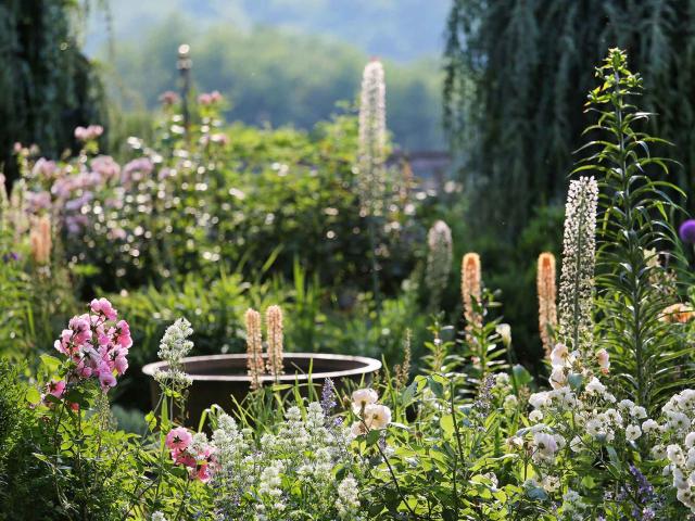 Jardins du Manoir d'Eyrignac à Salignac-Eyvigues