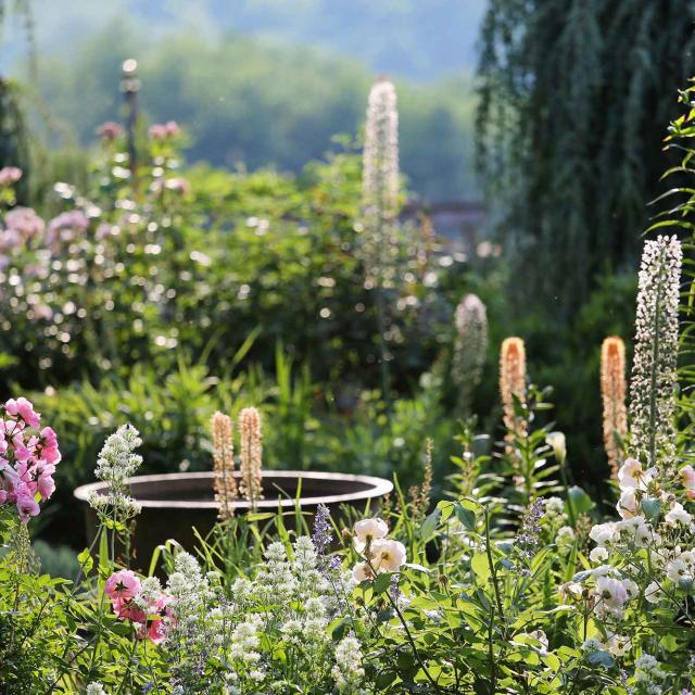 Jardins du Manoir d'Eyrignac à Salignac-Eyvigues