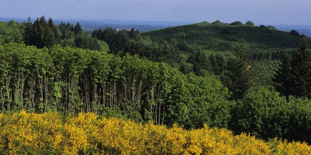 Point de vue du Grand Puyconnieux