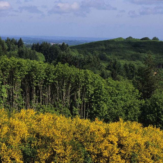 Point de vue du Grand Puyconnieux